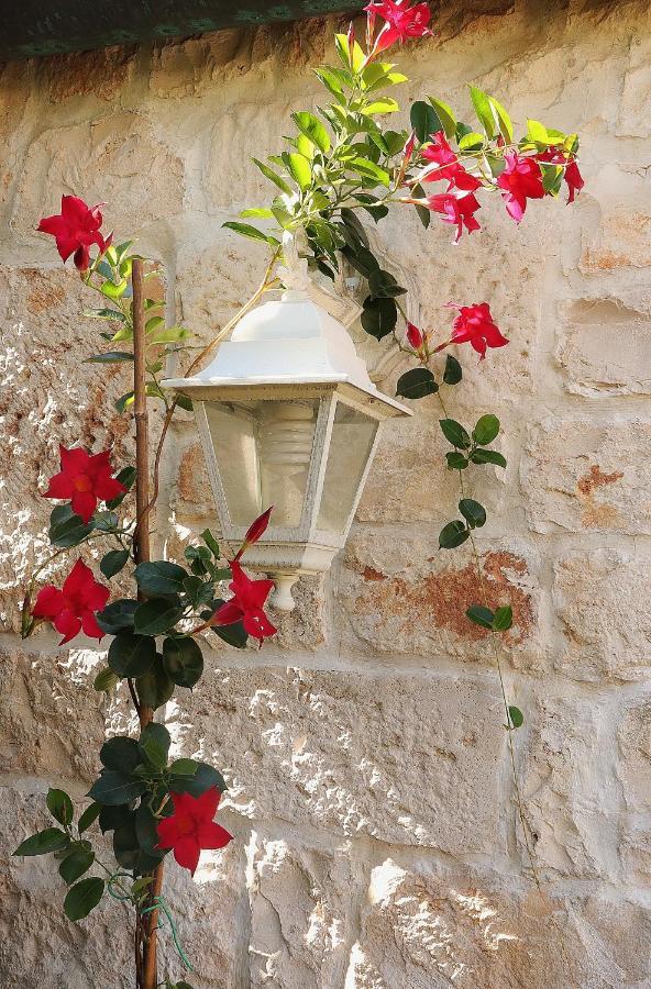 Trulli And Nature Antonelli Экстерьер фото
