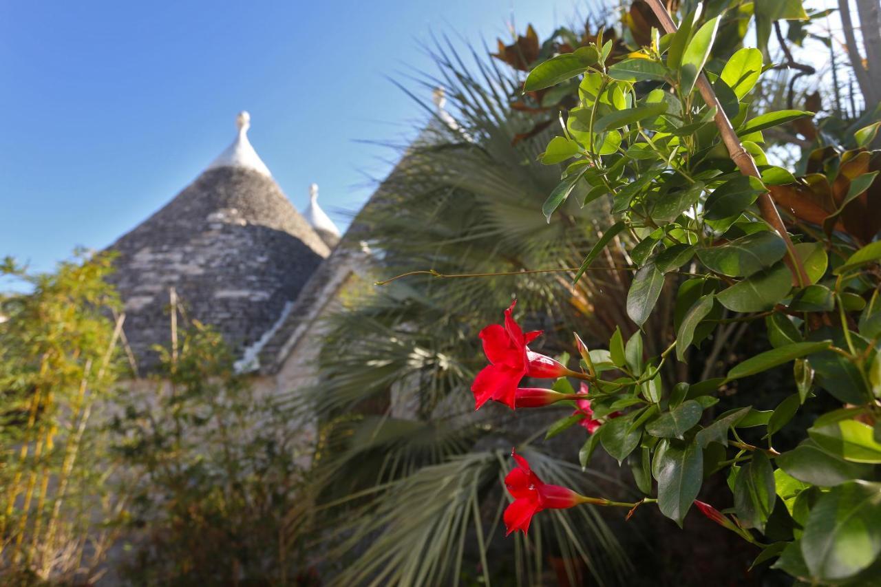 Trulli And Nature Antonelli Экстерьер фото